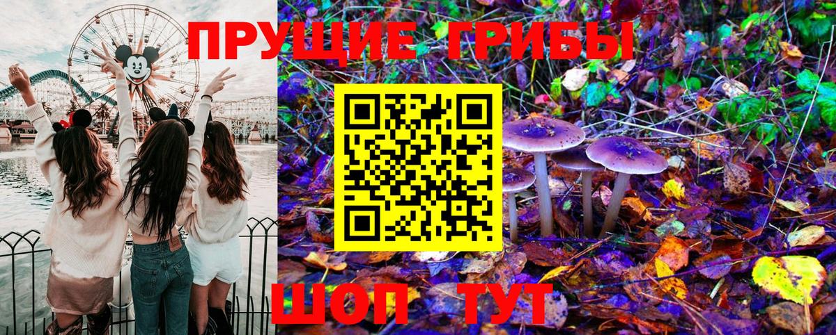 Галлюциногенные грибы мухоморы  Галлюциногенные грибы Cubensis  Вход с VPN  Кизилюрт 