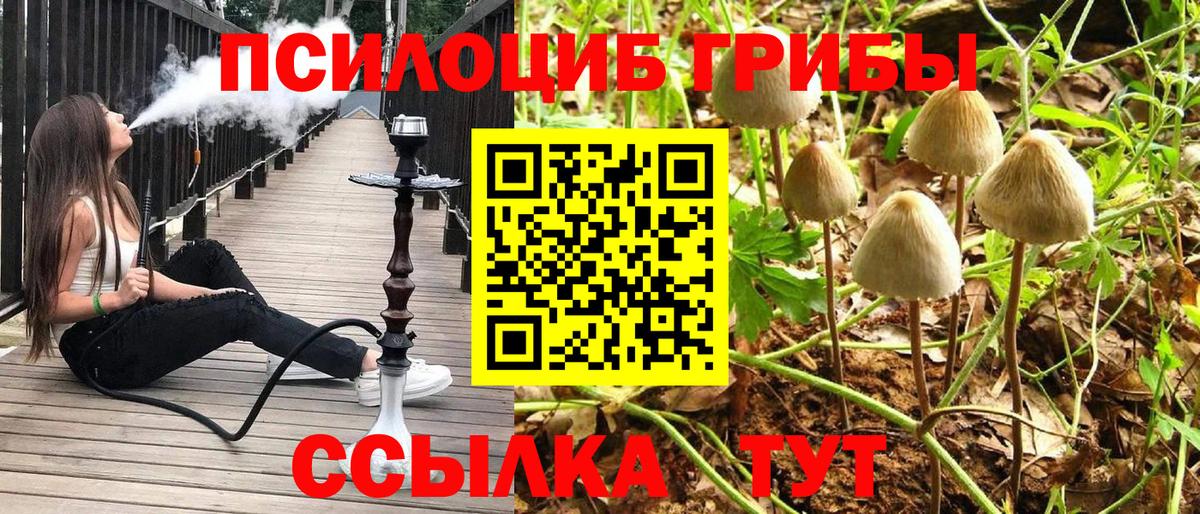Галлюциногенные грибы GOLDEN TEACHER Кизилюрт